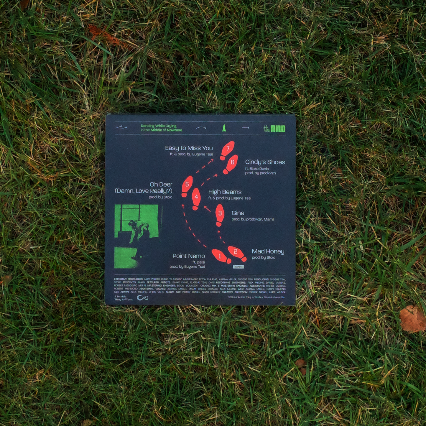 theMIND – Dancing While Crying in the Middle of Nowhere (Limited Edition Vinyl)